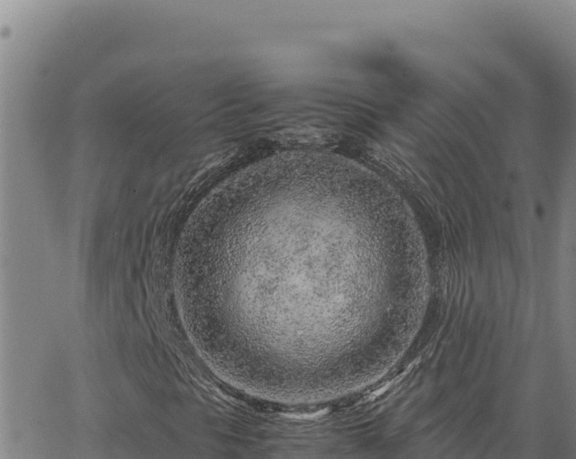 X0000063471297200601271619