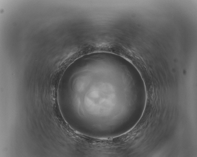 X0000063471301200601271619