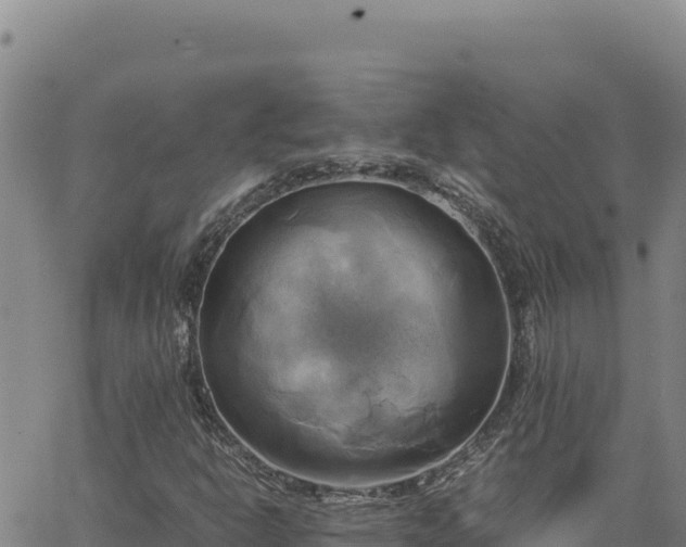 X0000063471302200601271619