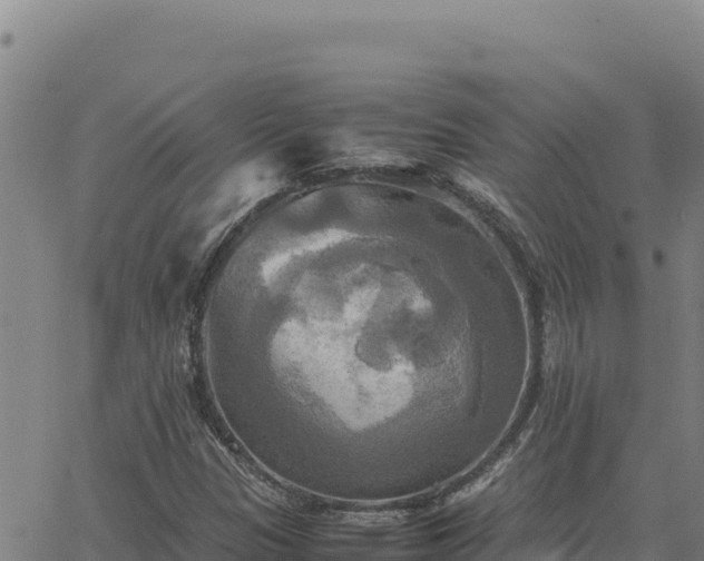 X0000063471305200601271619