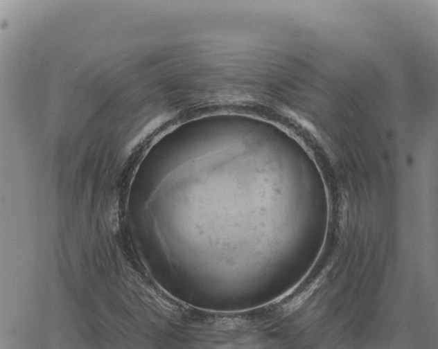 X0000063471306200601271619