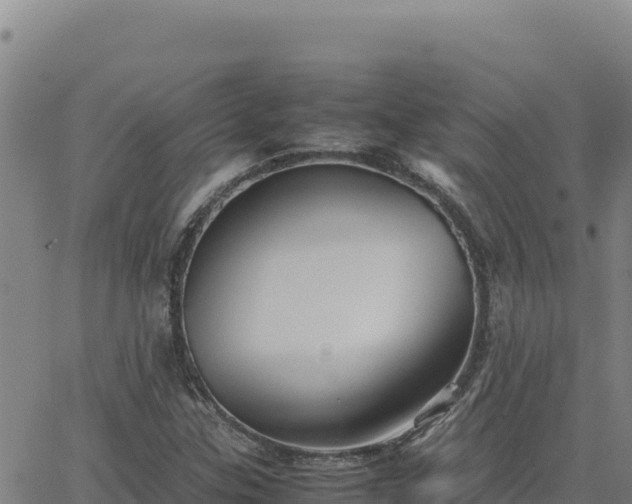 X0000063471307200601271619