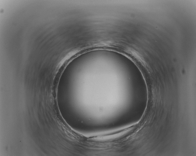 X0000063471308200601271619