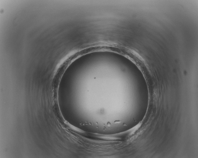 X0000063471310200601271619