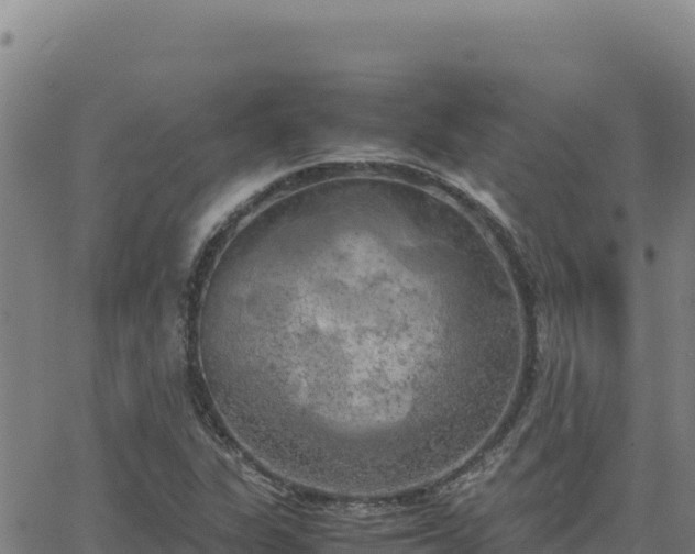 X0000063471311200601271619