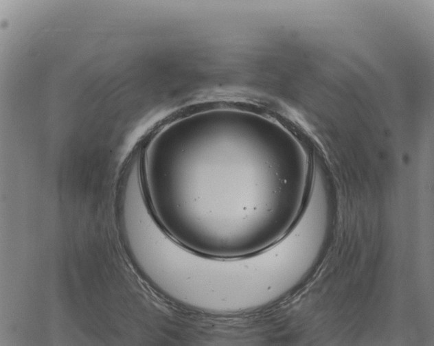 X0000063471312200601271619