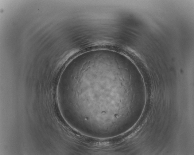 X0000063471313200601271619