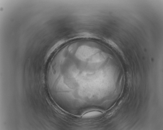 X0000063471318200601271619