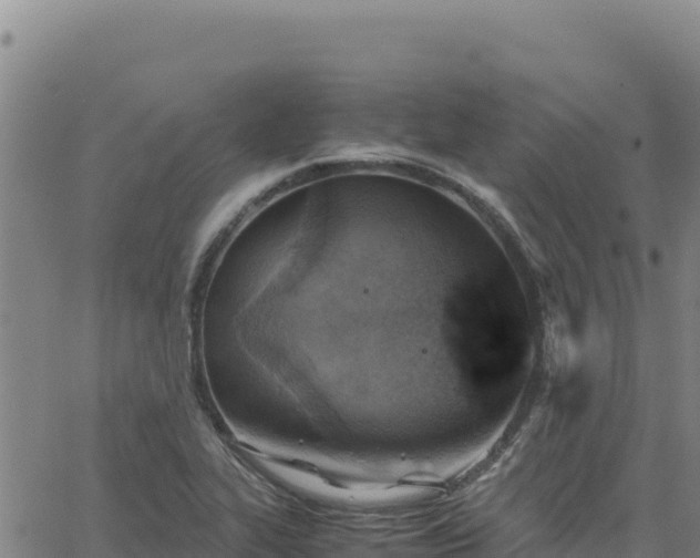 X0000063471319200601271619