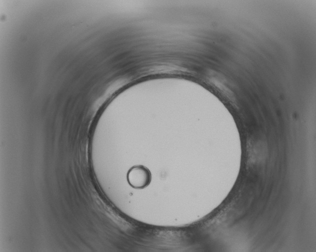 X0000063471322200601271620