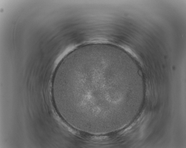 X0000063471325200601271620