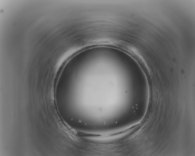 X0000063471328200601271620