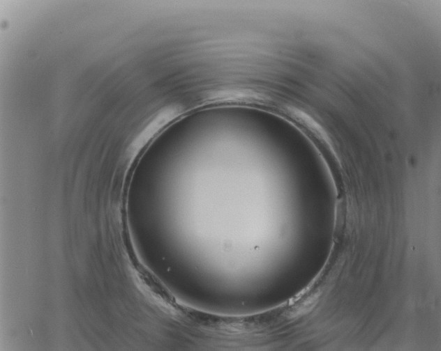 X0000063471330200601271620