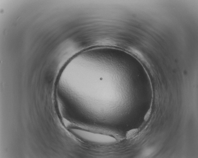 X0000063471331200601271620