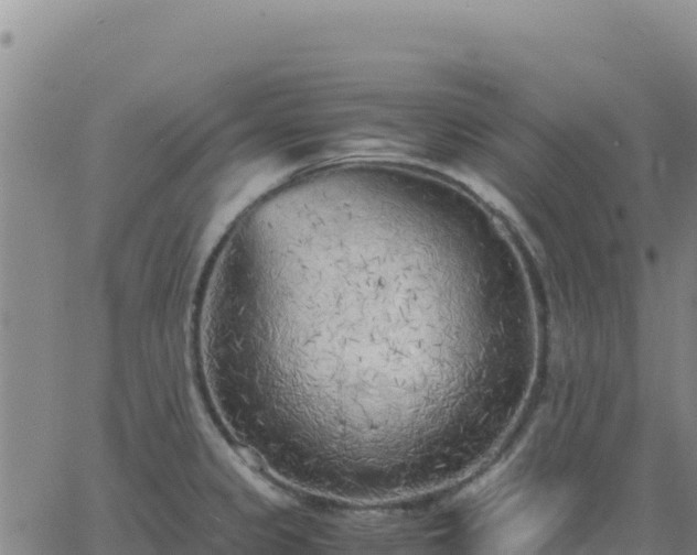 X0000063471333200601271620