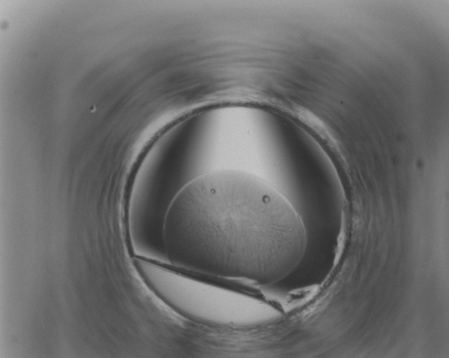 X0000063471334200601271620