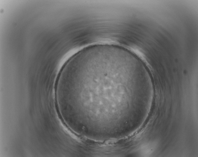 X0000063471335200601271620