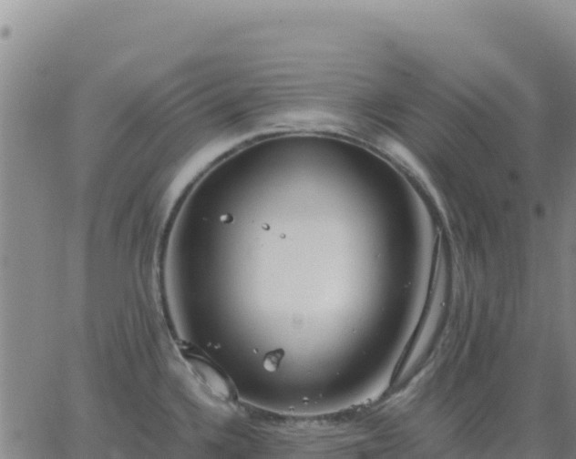 X0000063471336200601271620