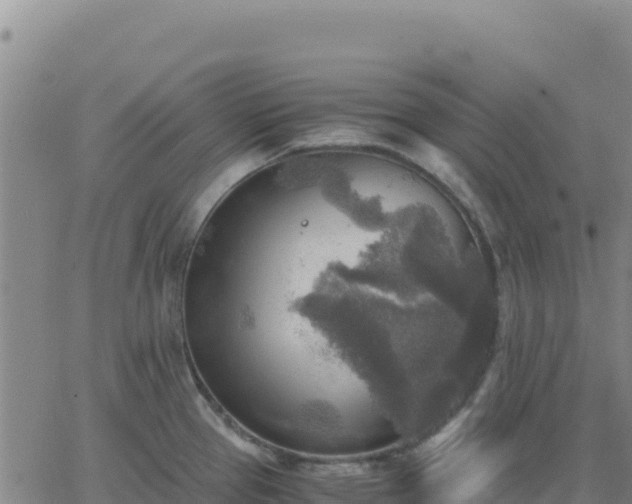 X0000063471337200601271620