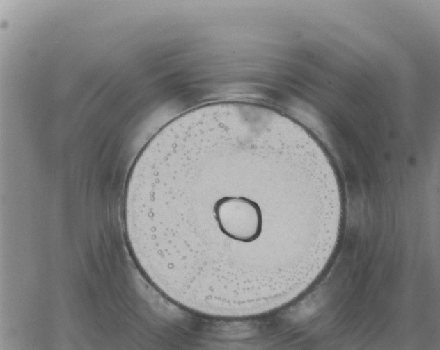 X0000063471338200601271620