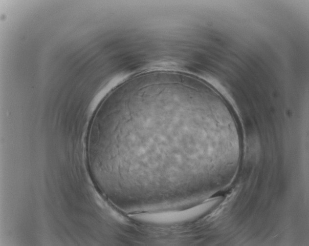 X0000063471341200601271620