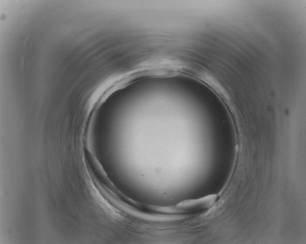 X0000063471344200601271620