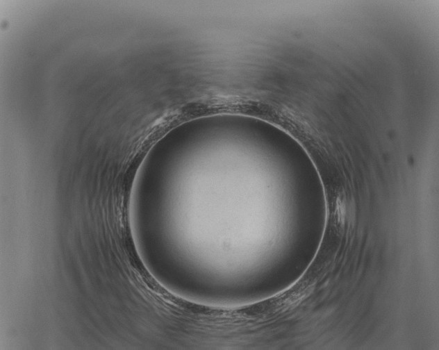 X0000063471348200601271619