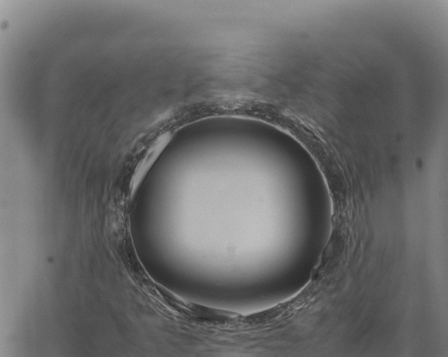 X0000063471349200601271619