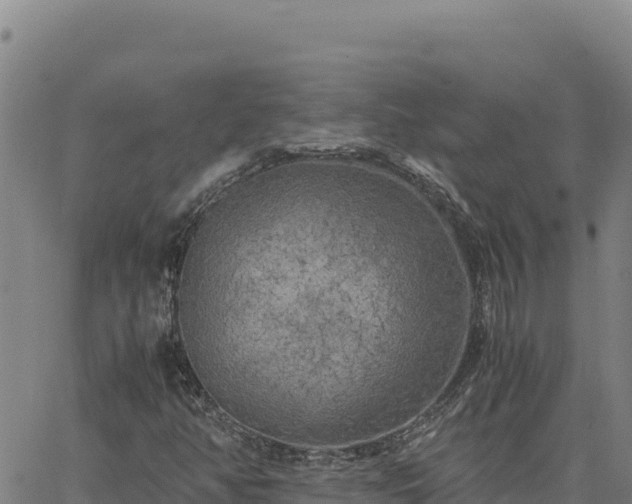 X0000063471350200601271619