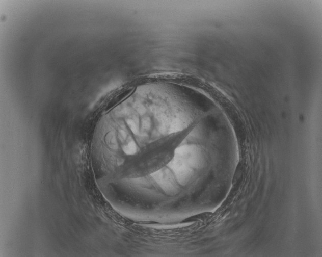 X0000063471351200601271619