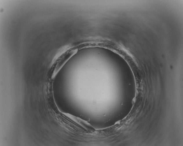 X0000063471352200601271619