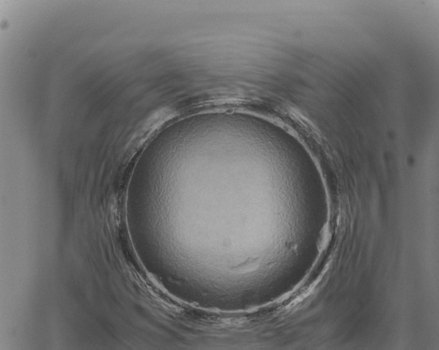 X0000063471353200601271619