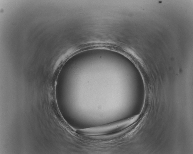 X0000063471357200601271619