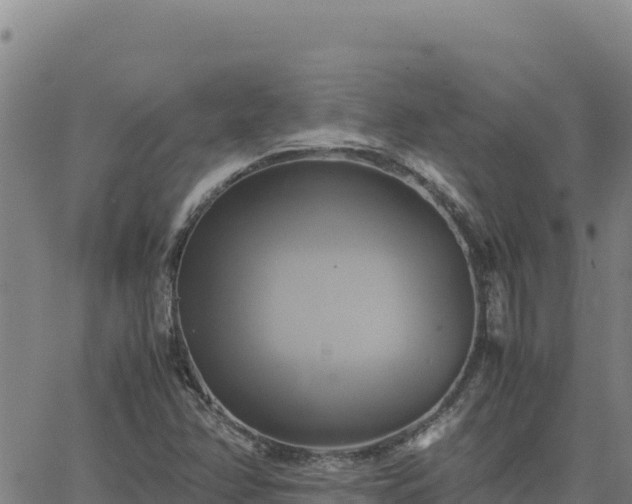 X0000063471358200601271619