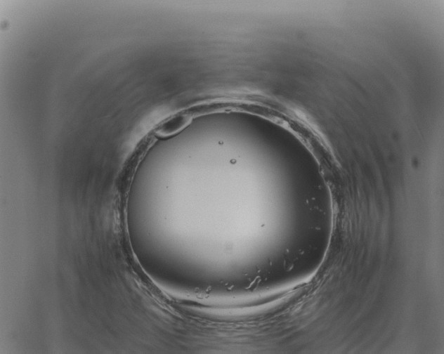 X0000063471360200601271619