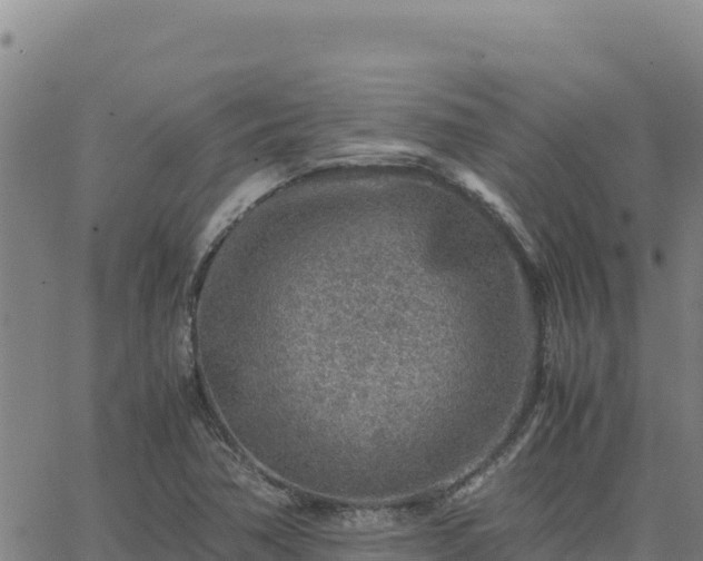 X0000063471362200601271619