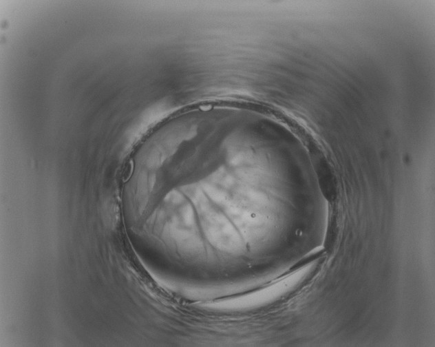 X0000063471363200601271619