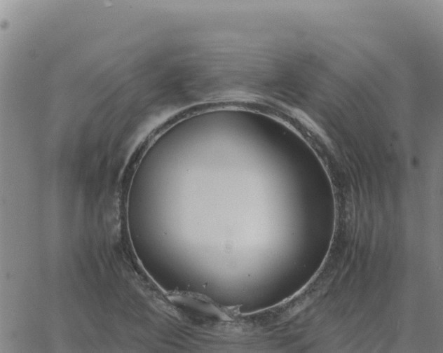 X0000063471364200601271619