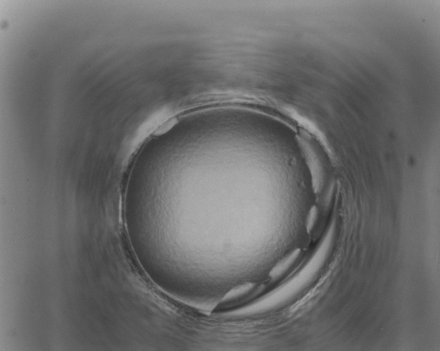 X0000063471365200601271619