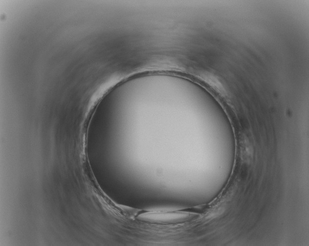 X0000063471366200601271619