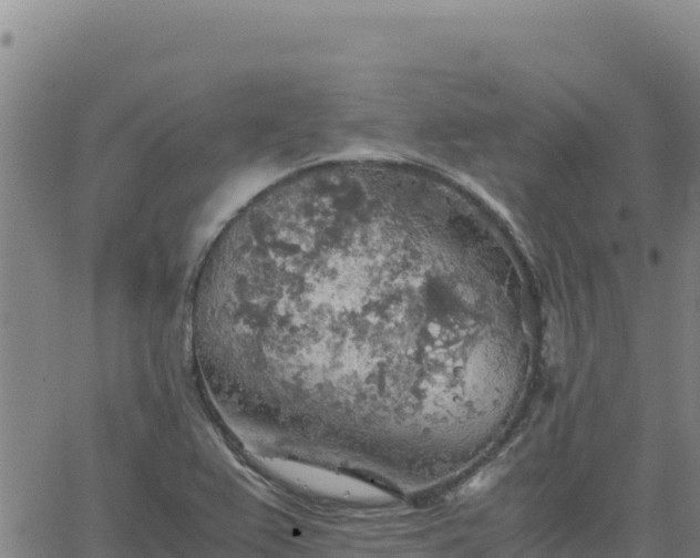 X0000063471367200601271619