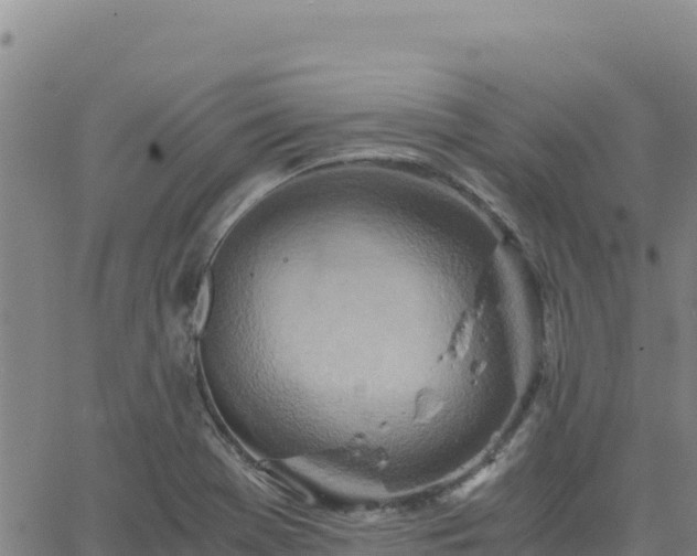 X0000063471369200601271619