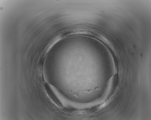 X0000063471377200601271619