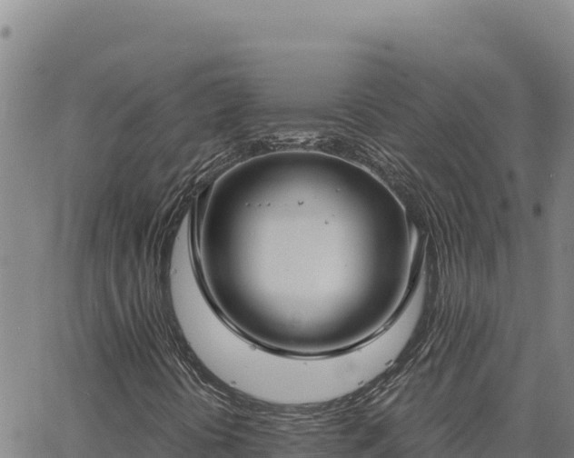 X0000063471394200601271618