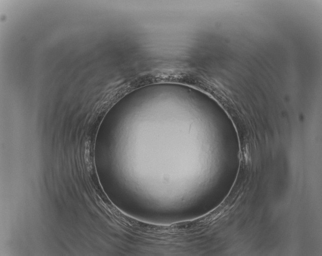 X0000063471396200601271618
