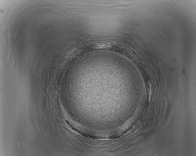 X0000063471441200601271618