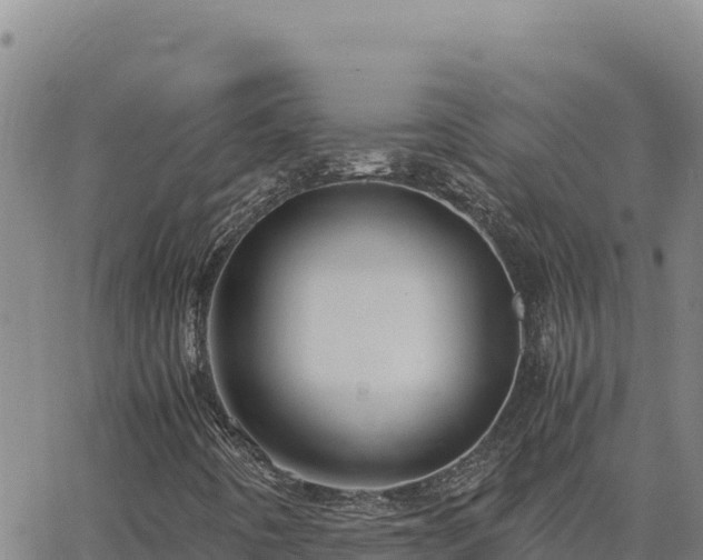 X0000063471442200601271618