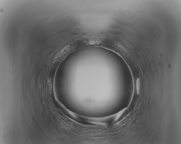 X0000063471443200601271617
