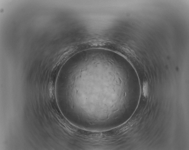 X0000063471444200601271617