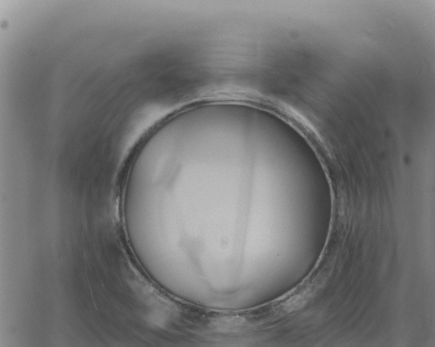X0000063471462200601271617